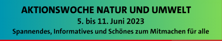 Read more about the article Baumscheiben begrünen, mit dem Förster durch den Tann und die OWA von innen